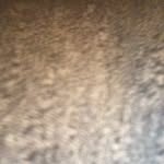 🏴󠁧󠁢󠁳󠁣󠁴󠁿  👉🏼Kyle Rennie👈🏼 - @kyle._rennie - Instagram