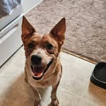 Kyle Restoule - @restoulekyle - Instagram