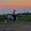Kyler Heiney - @kylerheiney - TikTok