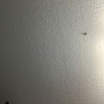 Kyle Richter - @kyle.richter.7 - Instagram