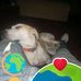 Kyle Ricks - Facebook