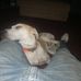 Kyle Ricks - Facebook