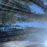 Kyle Riggins - @riggins3954 - Instagram