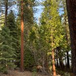 Kyle Riggins - @killerkyle540 - Instagram