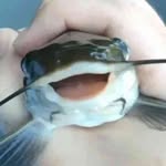 Kyle Ritchey - @nawthiskyle - Instagram