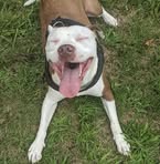 Kyle Ritz - Facebook
