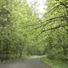 Kylee Rohde768 - @kyleerohde768 - TikTok