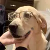 Kylee Rohde - @_kylee_rohde_ - TikTok