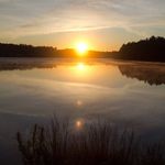 @kyleroland - Instagram