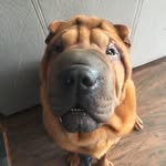 Kyle Roller - @kyle.roller.5 - Instagram