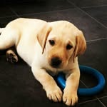kyle Rollers - @kylerollers - Instagram