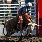 Kyle Romine - @rodeo_rider123 - Instagram