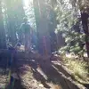 kylerooks - @kylerooks13 - TikTok