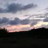 kylerosini - @shokla51 - TikTok