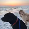 Kyle Rountree - @kyle.rountree7 - TikTok