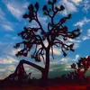 kylerountree176 - @kidwithadhd2001 - TikTok
