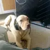 Jimmy67 - @ryker.kyle - TikTok