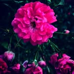Kyle Ryker - @rykerthewriter - Instagram