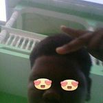 Kyle Samuel - @kylesamuel3477 - Instagram