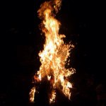 Kyle Sapp - @sapp_20 - Instagram