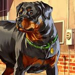 KRAZEEKYLE 249 - @kylesatterfield9132015 - Instagram