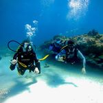 Kyle Schauer - @kyle_shower - Instagram