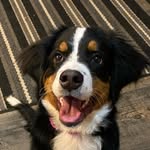 Kyle Schick - @kcs965 - Instagram