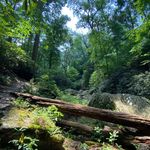Kyle Schott - @notagainfranklin - Instagram