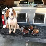 @schuckkyle - Instagram