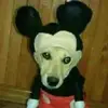 Kyle Schultz - @kyleschultz2222 - TikTok
