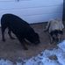 Kyle Schutte - Facebook