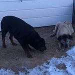 Kyle Schutte - @93tools - Instagram