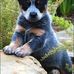 Kyle Scott - Facebook