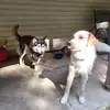 Kyle Scott - @kyle.scott864 - TikTok
