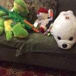 Kyle Seal - @kyletheseal - Instagram