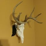 Kyle Sebring - @sebringprocessing - Instagram