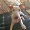 Kyle Seitz - @casualkyle01 - TikTok