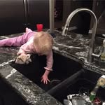 Kyle Viesselman - @kyleviesselman - Instagram
