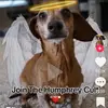 Kyle - @kyle.shaffer.1234 - TikTok