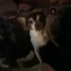 Kyle Shaffer - @kyle.shaffer19 - TikTok