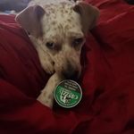 kyle shaner - @shaner6701 - Instagram
