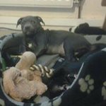 Kyle Shields - @kyle.shields.735 - Instagram