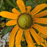 Kyle Shipley - @phx_nature - Instagram
