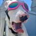 Kyle Silva - Facebook