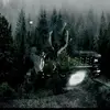 Kylesilvers - @silversdude - TikTok
