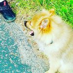 kyle_jr - @kyle.simonton - Instagram