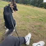 Kyle - @kyle_singh17 - Instagram