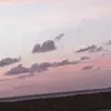 Kylesingh09 - @kylesingh097 - TikTok