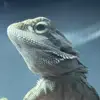 kyle.slaton15 - @kyle.s15 - TikTok
