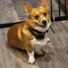 kyle smolinski - @kyle_smolinski - TikTok